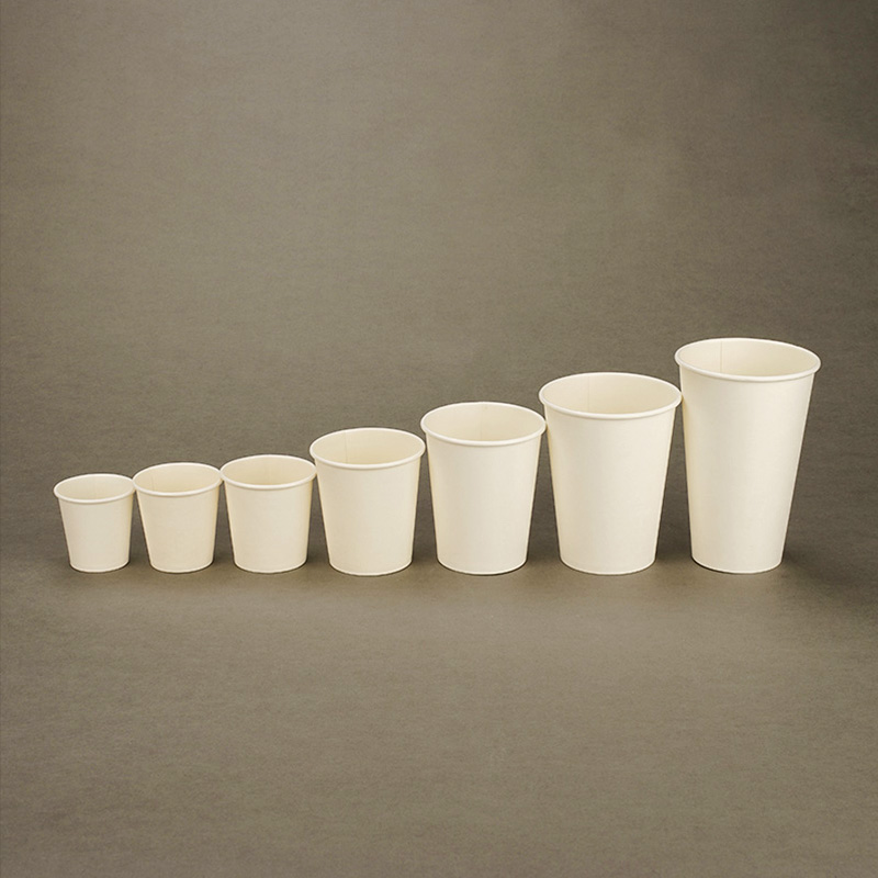 The Green Revolution: Biodegradable Paper Cups Paving the Way to Sustainability