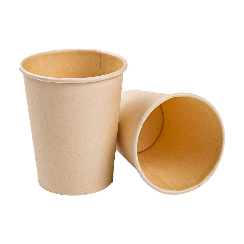 Innovative Sustainability: Exploring the Advantages of Double Wall Disposable Coffee Cups