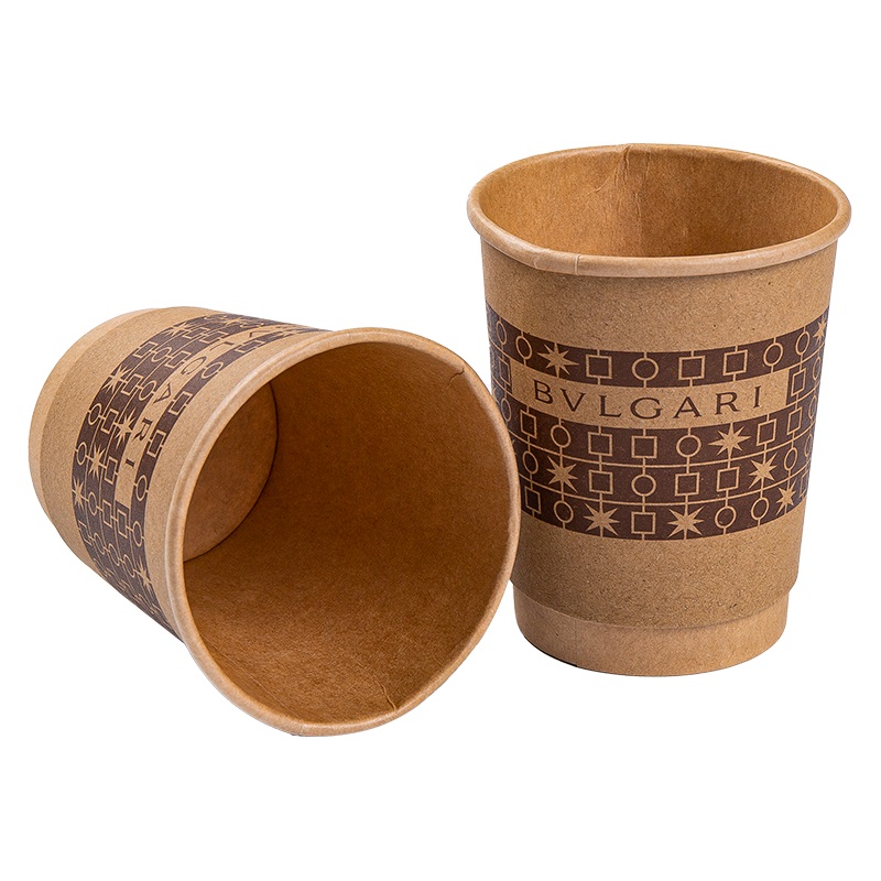 Biodegradable Paper Cup: A Sustainable Solution to Plastic Pollution